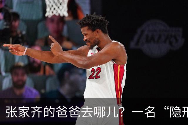 张家齐的爸爸去哪儿？一名“隐形人”的父爱